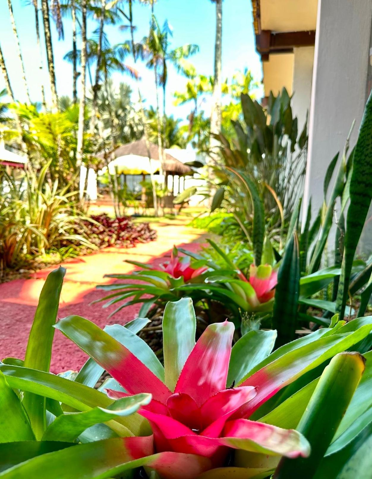 Hotel Casa Paradiso Guarujá Zewnętrze zdjęcie